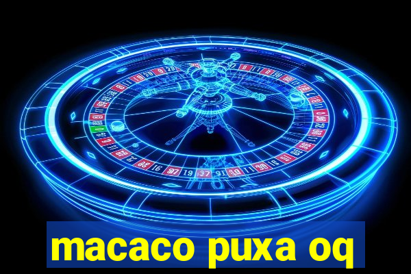 macaco puxa oq